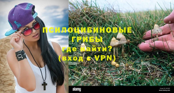 Альфа ПВП Волоколамск
